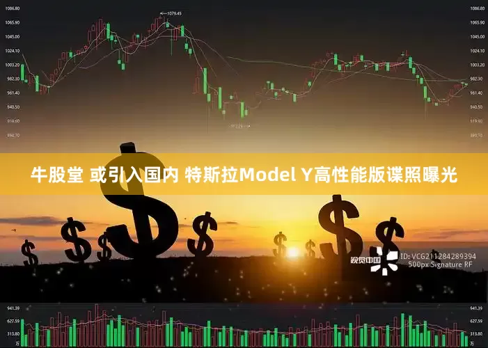 牛股堂 或引入国内 特斯拉Model Y高性能版谍照曝光