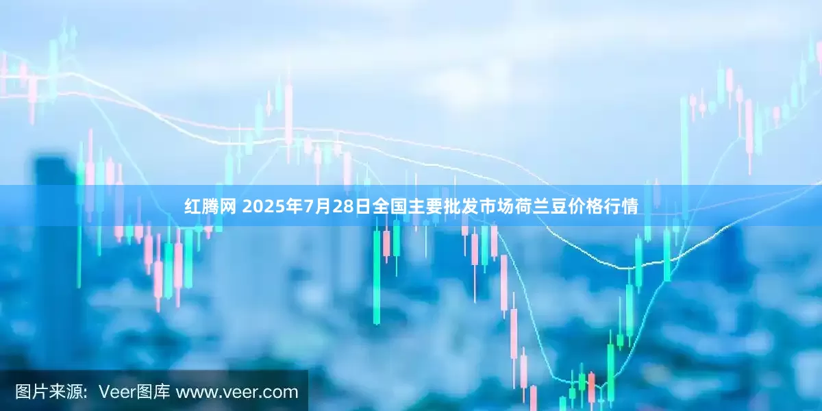 红腾网 2025年7月28日全国主要批发市场荷兰豆价格行情