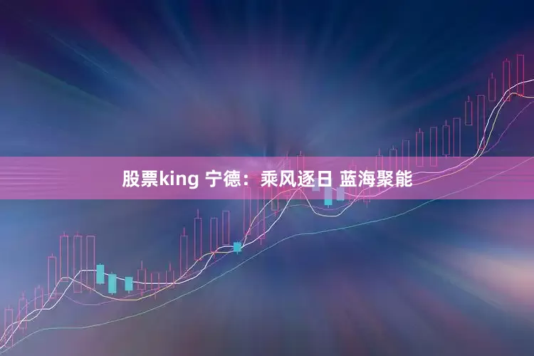 股票king 宁德:乘风逐日 蓝海聚能